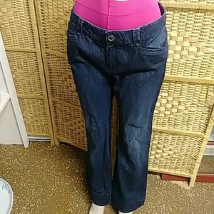 Loft Curvey FlareJeans